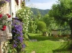 The garden welcomes you The garden welcomes you